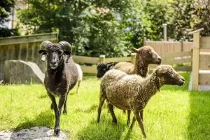 Ferienwohnungen Ignazhof – Impression aus der Bildergalerie