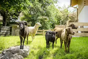 Ferienwohnungen Ignazhof – Impression aus der Bildergalerie