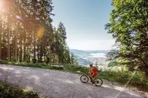 Ferienwohnungen Ignazhof – Impression aus der Bildergalerie